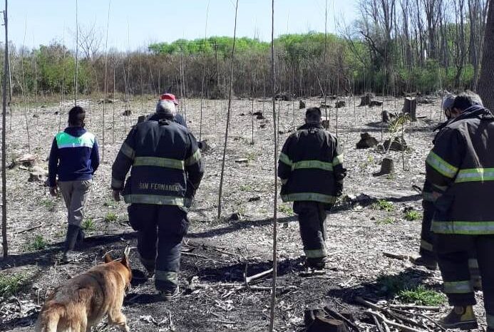 Bomberos de San Fernando extinguieron un incendio en el Delta: "les pedimos a los ciudadanos un alto grado de responsabilidad"