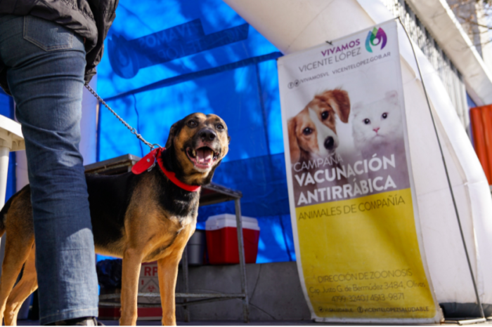 Nueva jornada de vacunación antirrábica gratuita en Vicente López