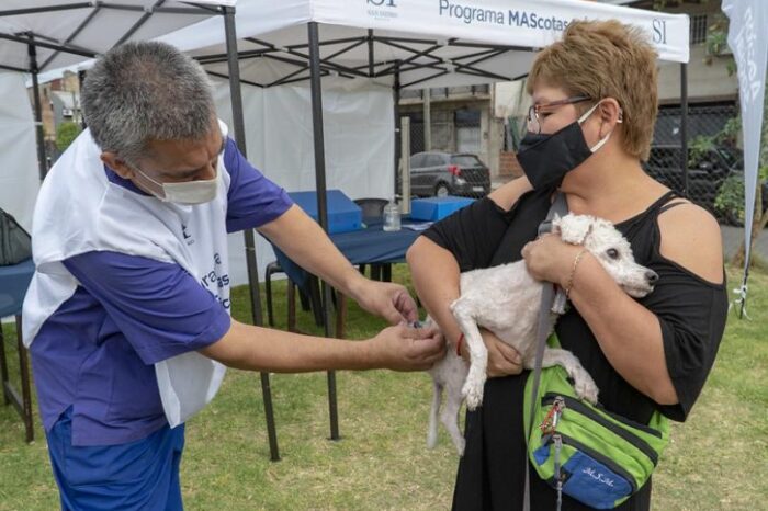 Más de 3 mil mascotas fueron atendidas por el programa "MAScotas MÁS felices" en San Isidro